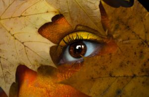 Primo piano di un occhio umano incorniciato da foglie autunnali nei toni del giallo, arancio e marrone. L’immagine è usata per evocare il legame tra natura e sguardo, introducendo il tema del colore dell’iride come tratto genetico e simbolico. Il contrasto tra la vivacità stagionale e l’intensità dell’occhio richiama le credenze culturali e letterarie che attribuiscono significati profondi alla colorazione degli occhi, come nel caso di Alessandro Magno.